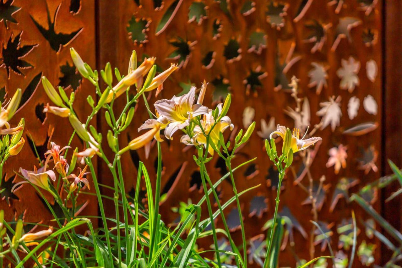 Bosco Canoro Bibione Resort Exterior foto