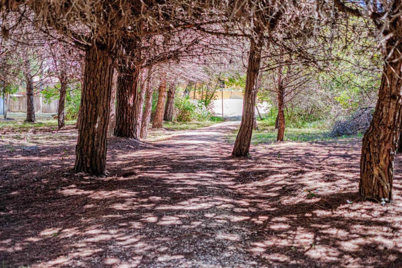 Bosco Canoro Bibione Resort Exterior foto